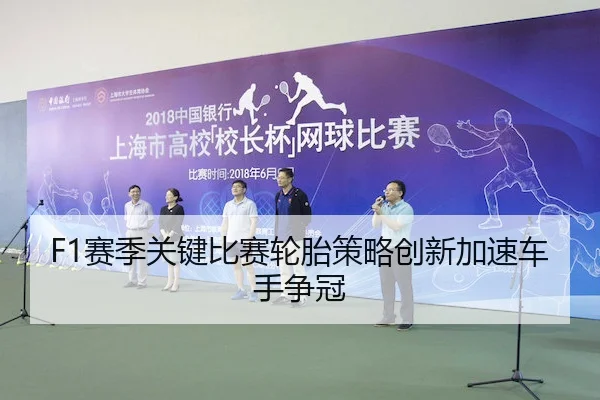 F1赛季关键比赛轮胎策略创新加速车手争冠